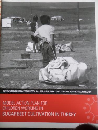 Model Action Plan For Children Working In Sugarbeet Cultivation In Tur