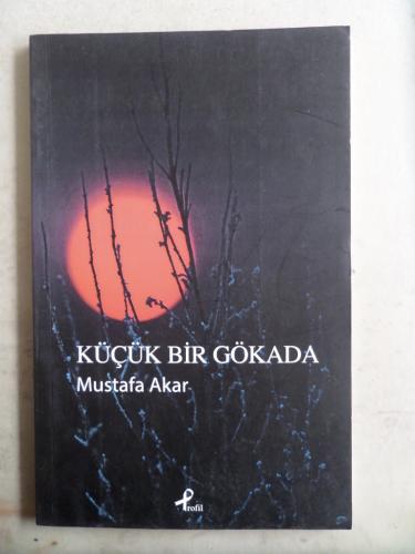 Küçük Bir Gökada Mustafa Akar