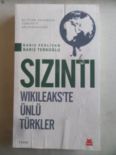 Sızıntı Wikileaks'te Ünlü Türkler Barış Pehlivan Terkoğlu