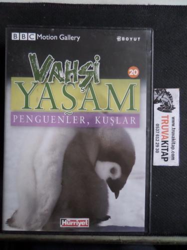 Vahşi Yaşam Penguenler, Kuşlar