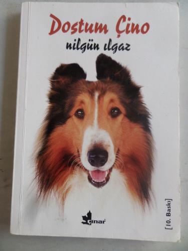 Dostum Çino Nilgün Ilgaz