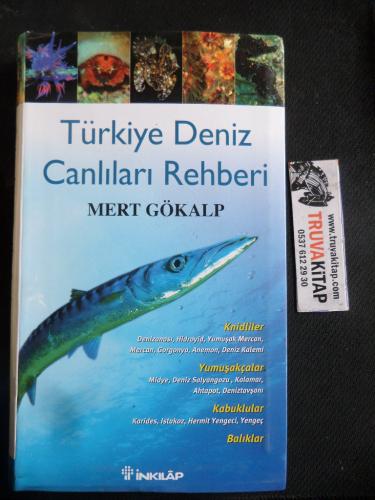 Türkiye Deniz Canlıları Rehberi Mert Gökalp