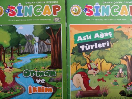 Sincap Orman Çocuk Dergisi / 2 Adet