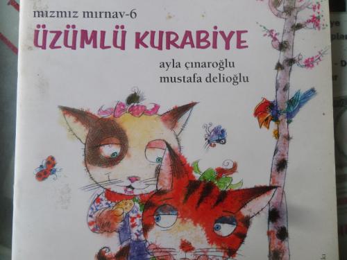 Mızmız Mırnav 6 - Üzümlü Kurabiye Ayla Çınaroğlu