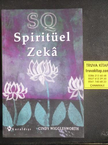 Spiritüel Zeka Cindy Wigglesworth