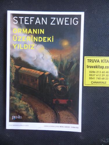 Ormanın Üzerinde Yıldız Stefan Zweig