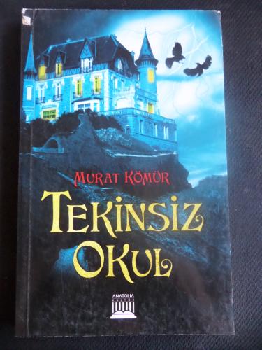 Tekinsiz Okul Murat Kömür