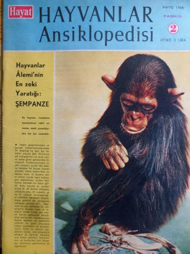 Hayat Hayvanlar Ansiklopedisi 1966 / 2 - Şempanze