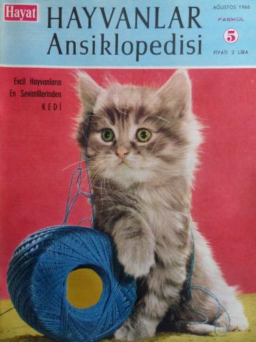 Hayat Hayvanlar Ansiklopedisi 1966 / 5 - Kedi