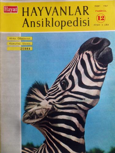 Hayat Hayvanlar Ansiklopedisi 1966 / 12 - Zebra