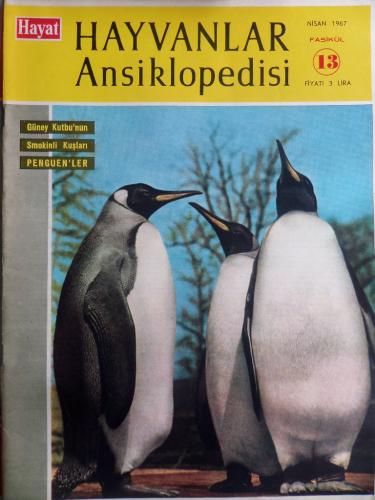 Hayat Hayvanlar Ansiklopedisi 1966 / 13 - Penguenler