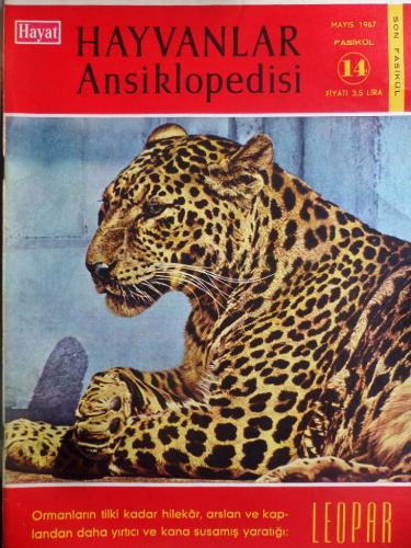 Hayat Hayvanlar Ansiklopedisi 1966 / 14 - Leopar